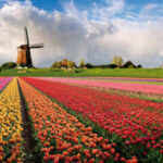 Life in Holland