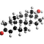 Una dose di testosterone per ridurre i conflitti