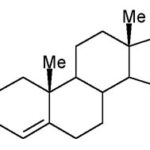 Traders and hormones