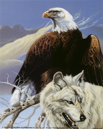 460 19752Eagle and Wolf Posters