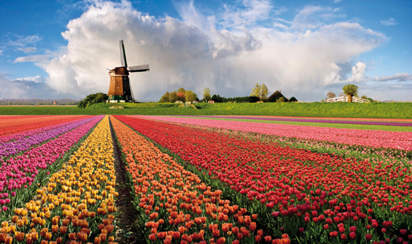 Life in Holland