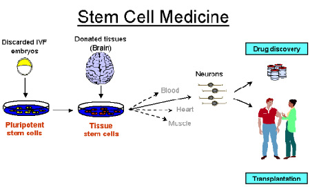 stem cell medicine ok