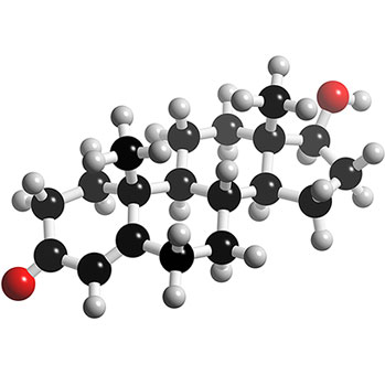 Una dose di testosterone per ridurre i conflitti