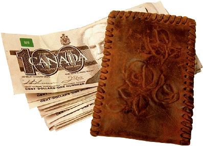 wallet and money 10