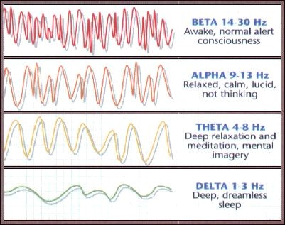 brainwaves1