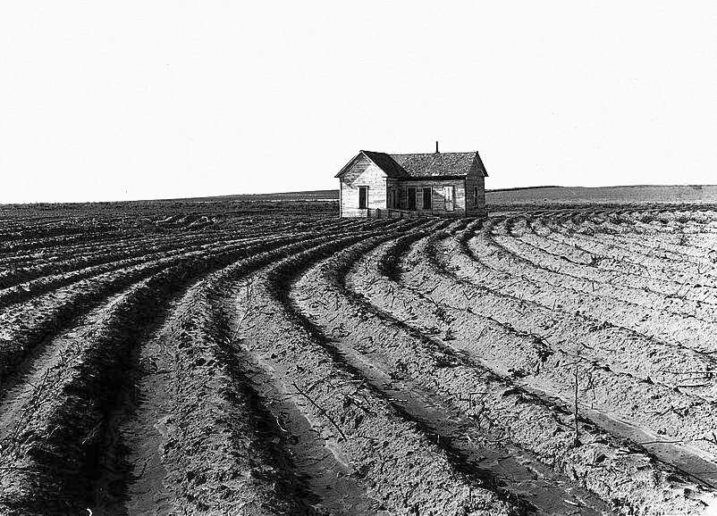 La distruzione del settore agricolo