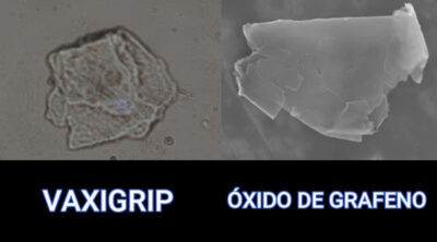 Graphene oxide in Vaxigrip Tetra 16 e1729862681988