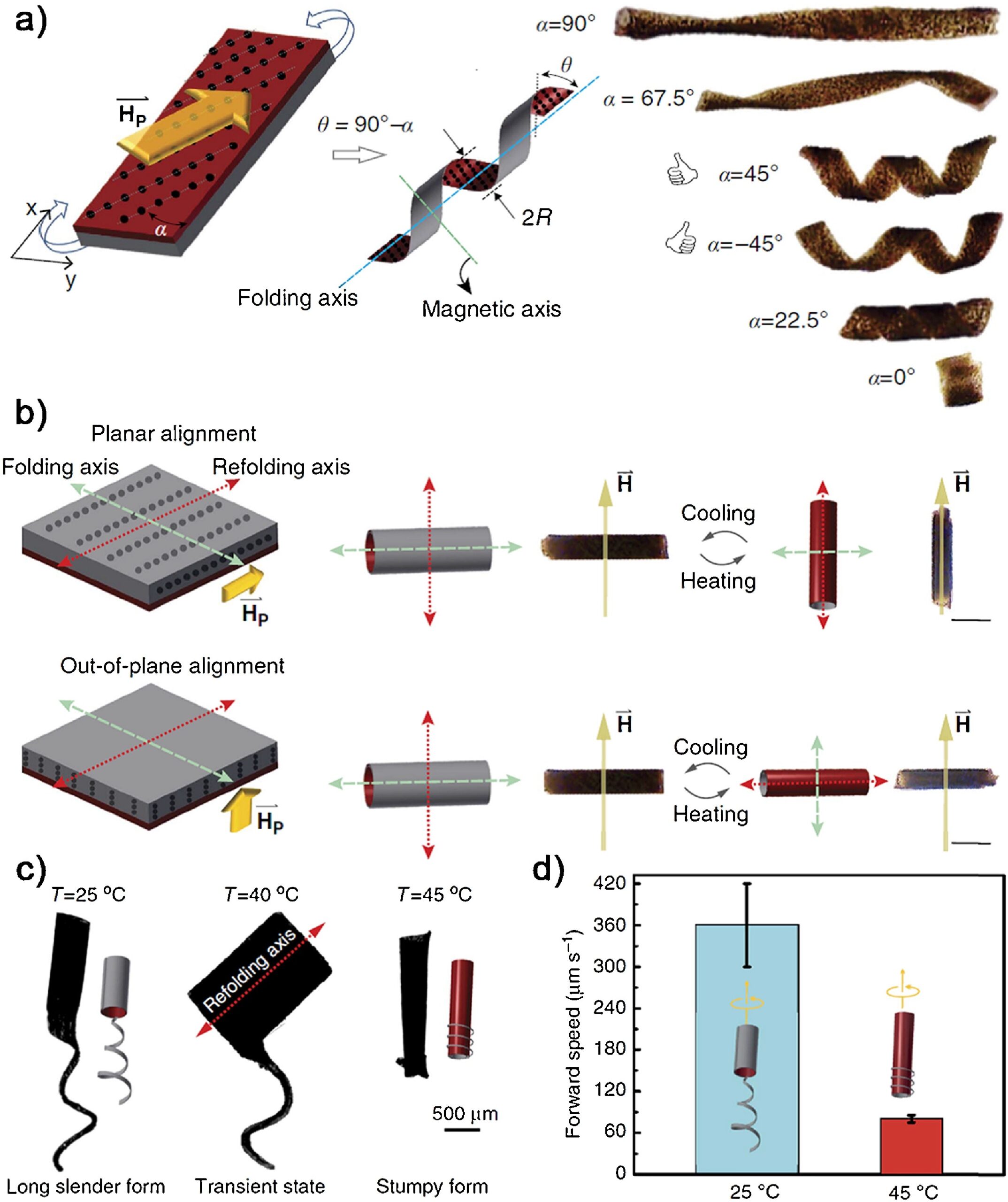 Microrobot magnetici a nastro di idrogel