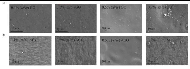 Food packaging with graphene oxide. Patents and Studies