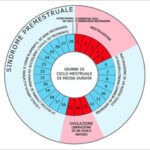 L'ossido di grafene altera il ciclo mestruale