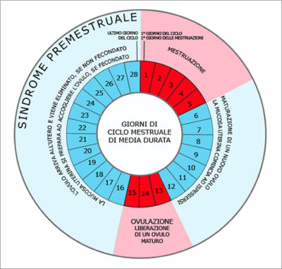 ciclo mestruale e1713107359304