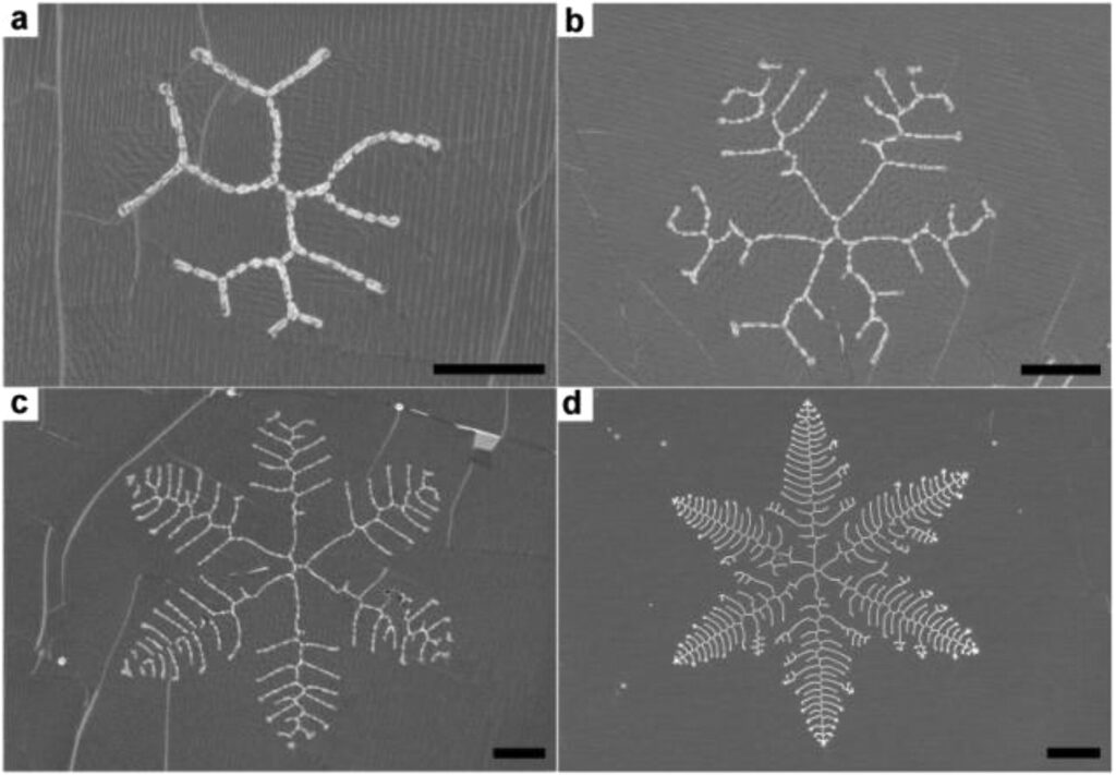 Grafene cristallizzato