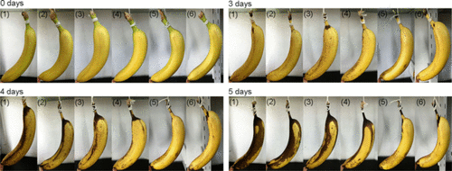 Food packaging with graphene oxide. Patents and Studies