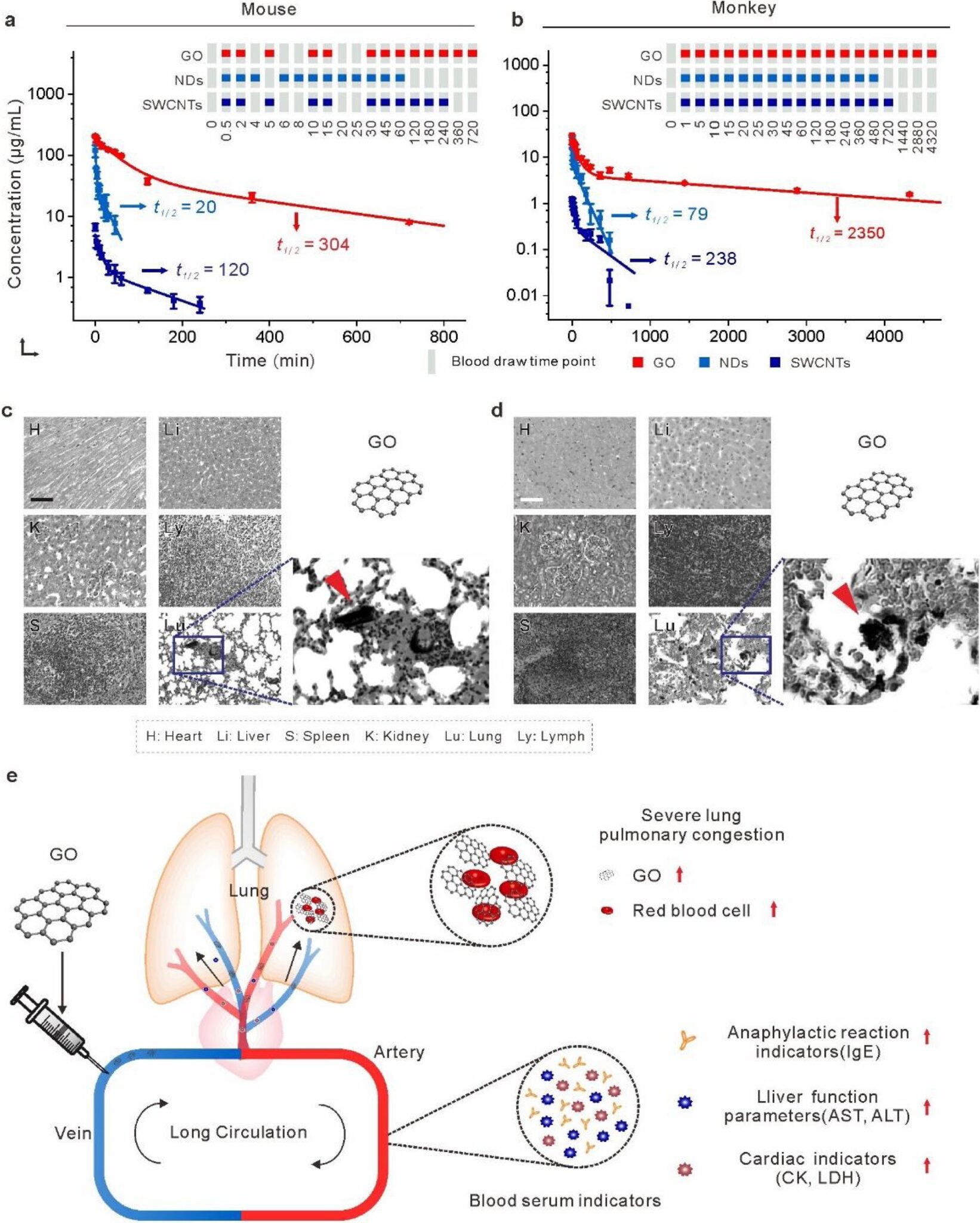 Graphene oxide in blood causes anaphylactic death in primates