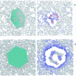 Ossido di grafene, neuroinfiammazione e malattie neurodegenerative