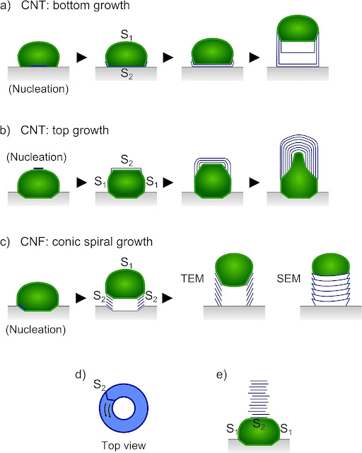 Nanopolpi e nanotubi di carbonio/grafene