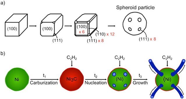 Nanopolpi e nanotubi di carbonio/grafene