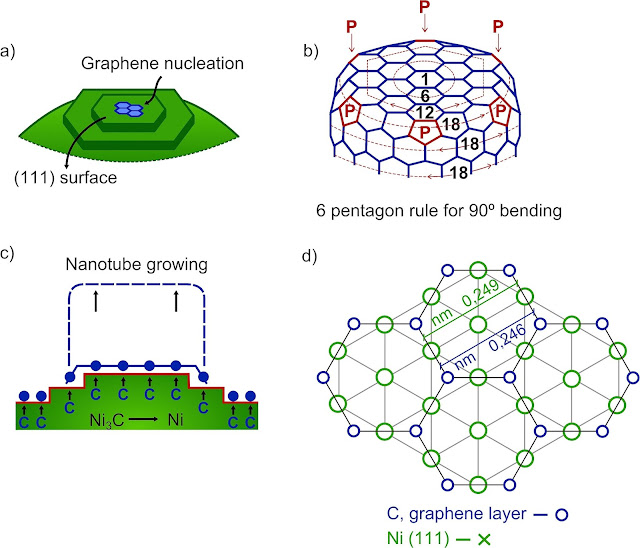 Nanopolpi e nanotubi di carbonio/grafene