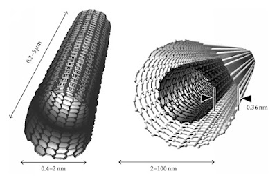 Nanopolpi e nanotubi di carbonio/grafene