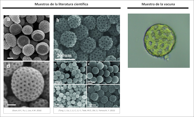 Sfere mesoporose