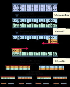 La blockchain è il DNA dell'Intelligenza artificiale