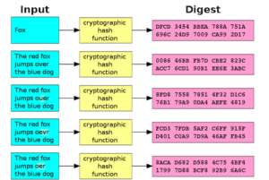 costruzione del DNA digitale in blocchi