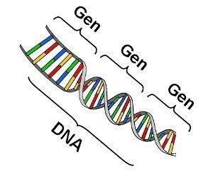 costruzione del DNA digitale in blocchi