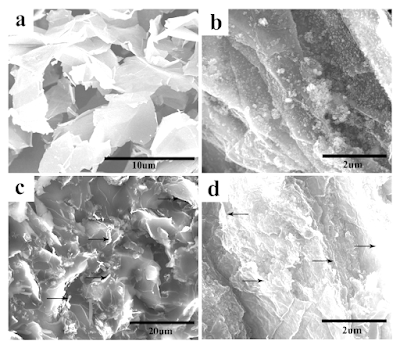 Graphene Oxide and 2G, 3G, 4G and 5G Electromagnetic Waves