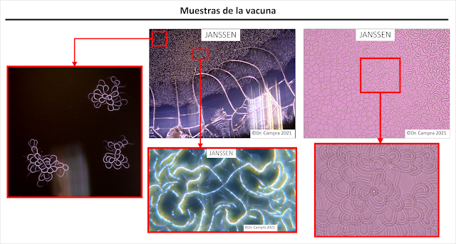 Identificazione di pattern