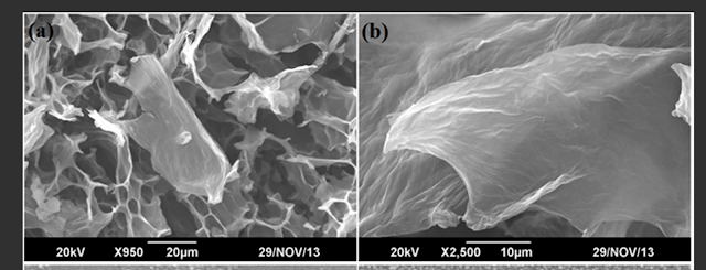 Graphene Oxide and 2G, 3G, 4G and 5G Electromagnetic Waves