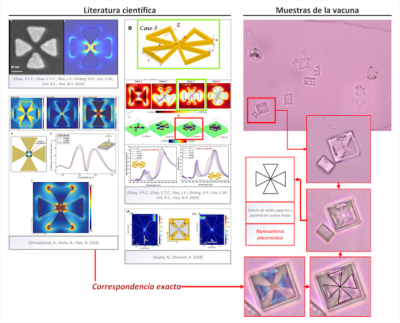 Nanoantenne plasmoniche