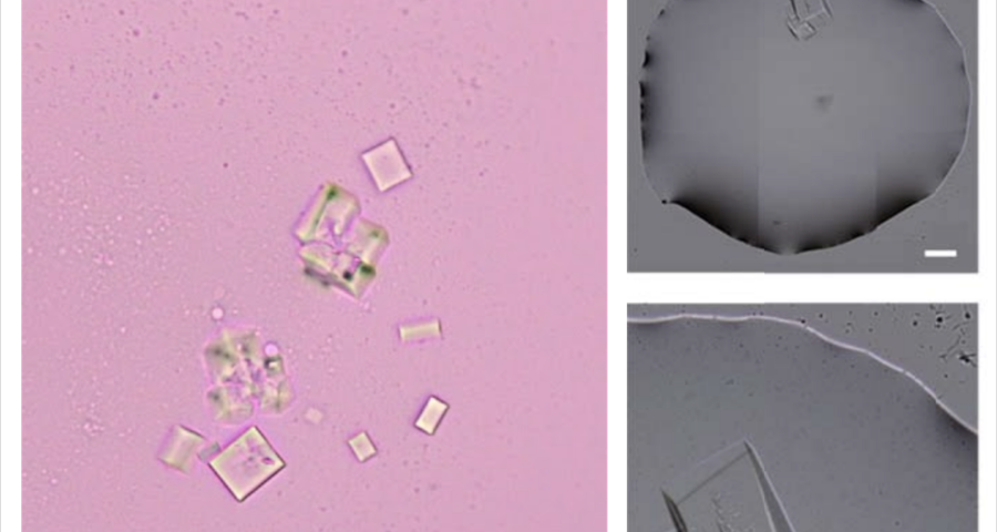 Autoassemblaggio di cristalli di DNA