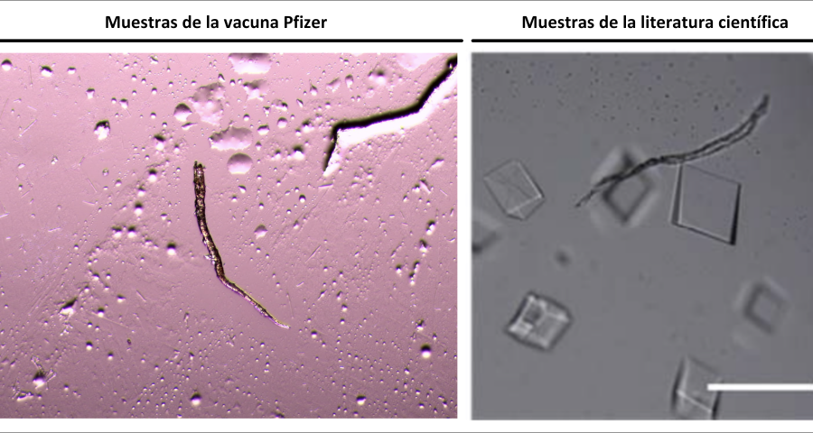 Autoassemblaggio di cristalli di DNA