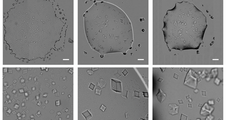 Autoassemblaggio di cristalli di DNA