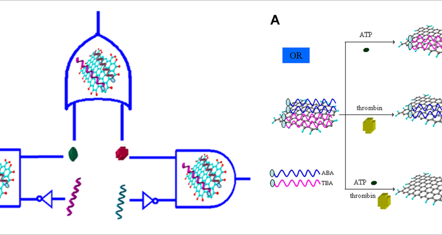 autoensamblaje evidencia2022 aptameros grafeno 900x480 1