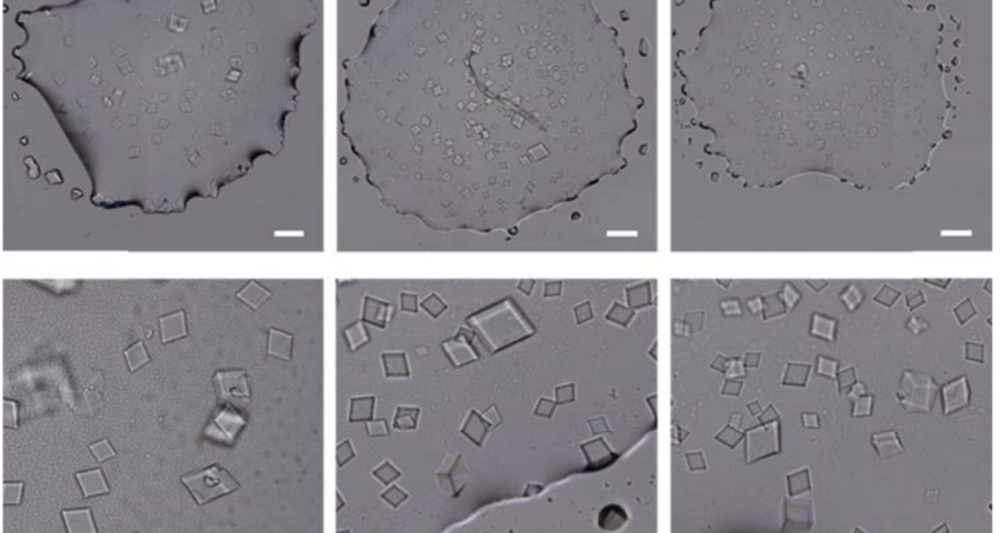 Autoassemblaggio di cristalli di DNA