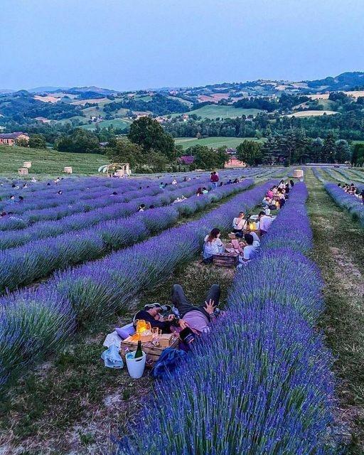 L'angolo del buonumore