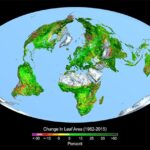 CO2 materia prima della vita