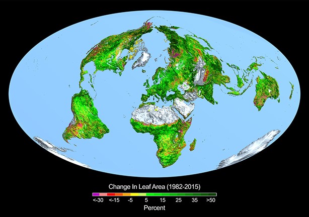 CO2 materia prima della vita