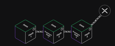 introduction10 xrp on chain.8362595e2a27820e0920ff2d6087d5a91ce8fe22b9c99cf4d08814569c8617fd.ac57e6ef e1718072836739