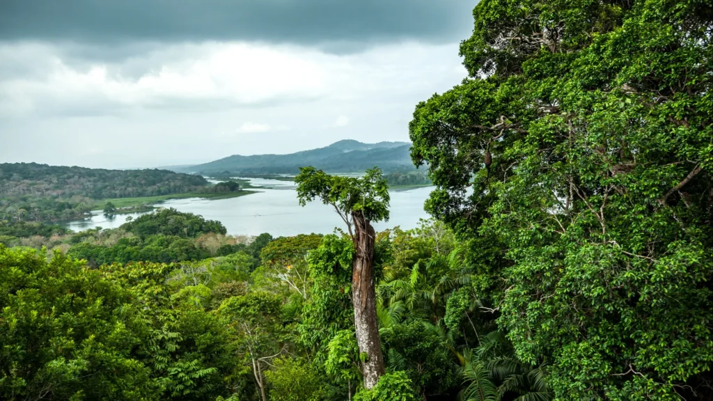 La stagione delle piogge a Panama. Una guida essenziale